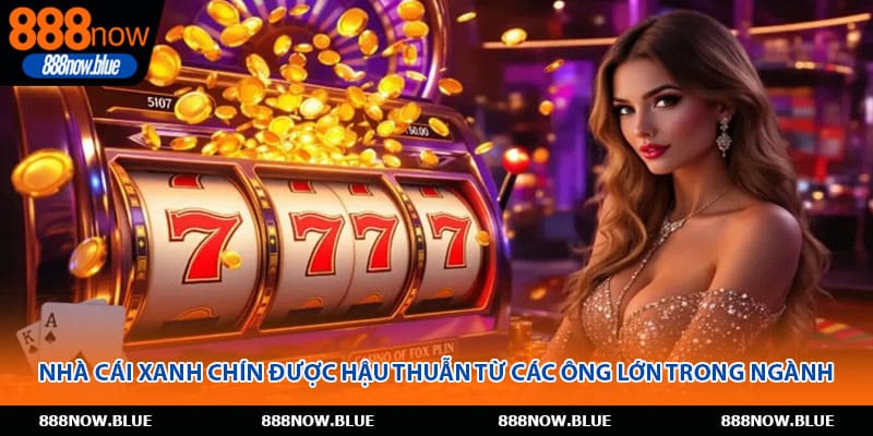 Nhà cái xanh chín được hậu thuẫn từ các ông lớn trong ngành